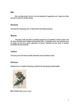 Konspekts 'Dwale: an Anaesthetic in Old England', 5.