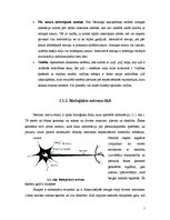 Referāts 'Neironu tīkli', 7.