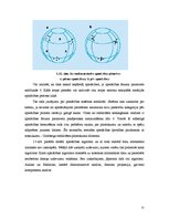 Referāts 'Neironu tīkli', 25.