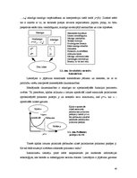 Referāts 'Neironu tīkli', 40.