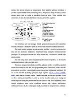 Referāts 'Neironu tīkli', 41.