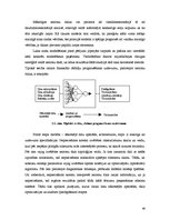 Referāts 'Neironu tīkli', 49.