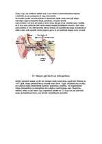 Referāts 'Skaņa', 6.