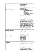 Konspekts 'Arhitektūras stili', 2.