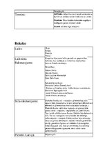 Konspekts 'Arhitektūras stili', 7.