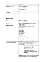 Konspekts 'Arhitektūras stili', 8.