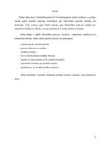 Referāts 'Pašvaldības policija', 2.