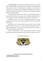 Referāts 'Pašvaldības policija', 3.