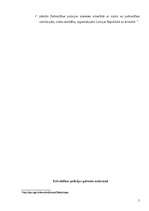 Referāts 'Pašvaldības policija', 5.