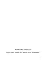 Referāts 'Pašvaldības policija', 8.