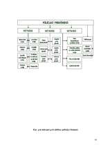 Referāts 'Pašvaldības policija', 14.