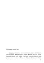 Referāts 'Pašvaldības policija', 29.