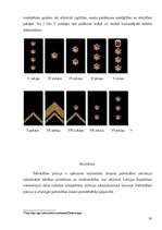 Referāts 'Pašvaldības policija', 30.