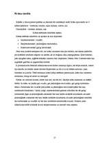 Referāts 'Skatlogu noformēšana', 27.