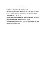 Referāts 'Ēģiptes valsts attīstība Amenhotepa IV valdīšanas laikā', 9.