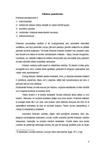 Referāts 'Folkloras elementu izmantojums laikrakstā "Diena" publicētajās reklāmās 2005.gad', 8.