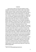 Referāts 'Folkloras elementu izmantojums laikrakstā "Diena" publicētajās reklāmās 2005.gad', 24.