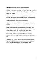 Referāts 'Folkloras elementu izmantojums laikrakstā "Diena" publicētajās reklāmās 2005.gad', 28.