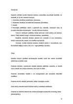 Referāts 'Folkloras elementu izmantojums laikrakstā "Diena" publicētajās reklāmās 2005.gad', 29.