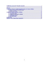 Referāts 'Uzņēmuma "Bilance" finanšu analīze', 2.