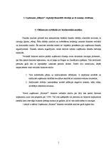 Referāts 'Uzņēmuma "Bilance" finanšu analīze', 5.