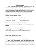 Referāts 'Uzņēmuma "Bilance" finanšu analīze', 11.