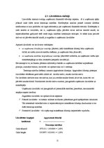 Referāts 'Uzņēmuma "Bilance" finanšu analīze', 15.