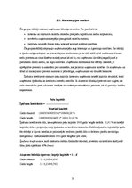 Referāts 'Uzņēmuma "Bilance" finanšu analīze', 20.