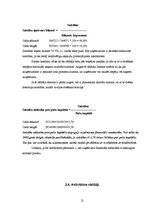 Referāts 'Uzņēmuma "Bilance" finanšu analīze', 21.