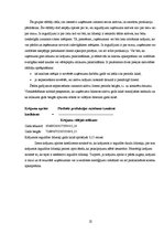 Referāts 'Uzņēmuma "Bilance" finanšu analīze', 22.