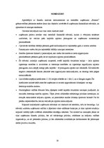 Referāts 'Uzņēmuma "Bilance" finanšu analīze', 26.