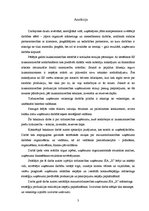 Diplomdarbs 'SIA "X" produkcijas rēalizācijas iespēju paplašināšana', 3.