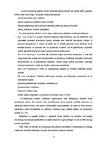 Diplomdarbs 'SIA "X" produkcijas rēalizācijas iespēju paplašināšana', 17.