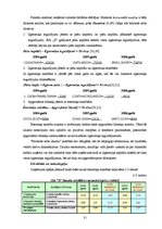 Diplomdarbs 'SIA "X" produkcijas rēalizācijas iespēju paplašināšana', 31.