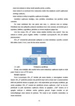 Diplomdarbs 'SIA "X" produkcijas rēalizācijas iespēju paplašināšana', 41.
