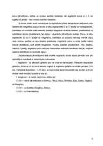 Referāts 'Negabarīta kravu pārvadāšana', 29.