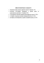 Referāts 'Negabarīta kravu pārvadāšana', 38.