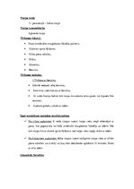 Konspekts 'Laboratorijas darbs studiju priekšmetā "Telpu kopšanas tehnoloģijas"', 8.