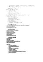 Konspekts 'Eksāmena jautājumi priekšmetā "Ētika"', 3.