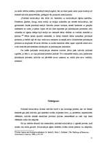 Referāts 'Politiskās socializācijas nozīmība indivīda politiskās kultūras veidošanā', 11.