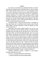 Referāts 'Daugavpils 12.vidusskolas izglītojamo neverbālās saskarsmes īpatnības', 5.