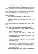 Referāts 'Daugavpils 12.vidusskolas izglītojamo neverbālās saskarsmes īpatnības', 11.