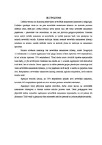 Referāts 'Daugavpils 12.vidusskolas izglītojamo neverbālās saskarsmes īpatnības', 30.