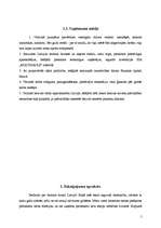 Biznesa plāns 'SIA "Multisaule" ', 5.