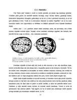 Referāts 'Stereotipi par sieviešu un vīriešu pienākumiem dzīvē', 14.