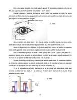 Referāts 'Stereotipi par sieviešu un vīriešu pienākumiem dzīvē', 25.