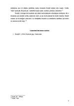 Konspekts 'Konspekts par P.Budrjē darbu "Praktiskā jēga"', 4.