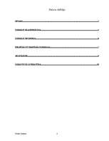 Referāts 'Izmaksu klasifikācija', 2.