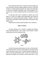 Referāts 'Produktu sagriešanas veidi', 2.