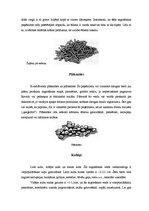 Referāts 'Produktu sagriešanas veidi', 4.